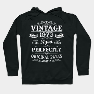 Vintage 1973 47th Birthday Gift 47 Years Old Hoodie